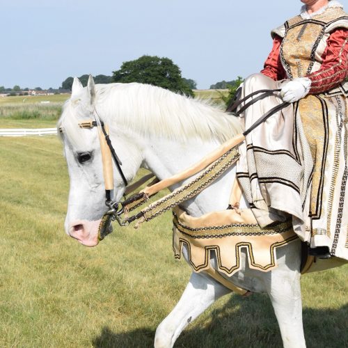 Création Coiffe Cavalière et Customisation Bride Cheval
